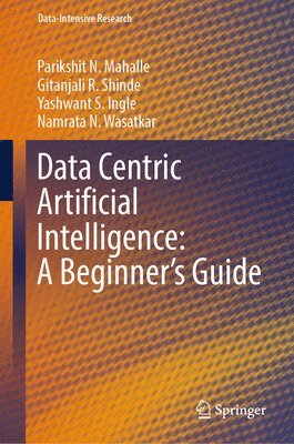 bokomslag Data Centric Artificial Intelligence: A Beginner's Guide