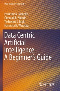 bokomslag Data Centric Artificial Intelligence: A Beginner's Guide