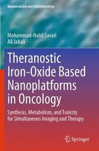 bokomslag Theranostic Iron-Oxide Based Nanoplatforms in Oncology