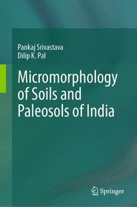 bokomslag Micromorphology of Soils and Paleosols of India