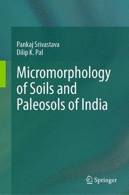 bokomslag Micromorphology of Soils and Paleosols of India