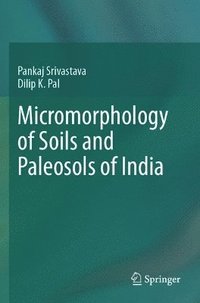 bokomslag Micromorphology of Soils and Paleosols of India