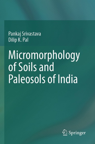 bokomslag Micromorphology of Soils and Paleosols of India