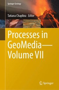 bokomslag Processes in GeoMediaVolume VII