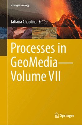 Tatiana Chaplina - Processes in GeoMedia—Volume VII, Inbunden