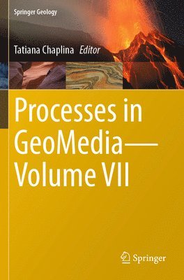 Tatiana Chaplina - Processes in GeoMedia—Volume VII, Häftad