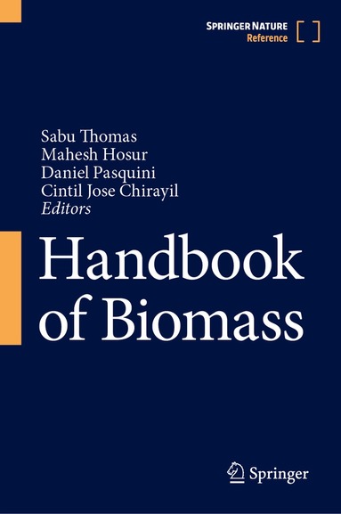 Sabu Thomas, Mahesh Hosur, Daniel Pasquini, Cintil Jose Chirayil - Handbook of Biomass, Inbunden