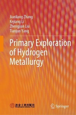 bokomslag Primary Exploration of Hydrogen Metallurgy