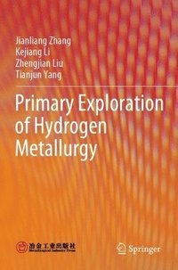 bokomslag Primary Exploration of Hydrogen Metallurgy