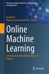 bokomslag Online Machine Learning