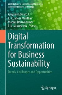 bokomslag Digital Transformation for Business Sustainability