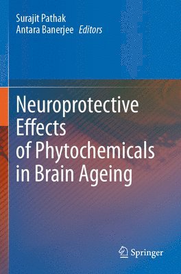 Neuroprotective Effects of Phytochemicals in Brain Ageing