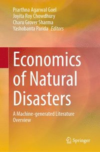 bokomslag Economics of Natural Disasters