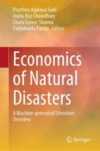 bokomslag Economics of Natural Disasters