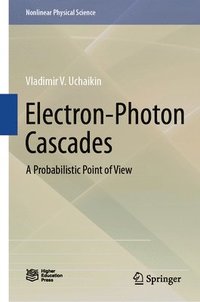 bokomslag Electron-Photon Cascades