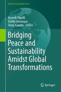 bokomslag Bridging Peace and Sustainability Amidst Global Transformations