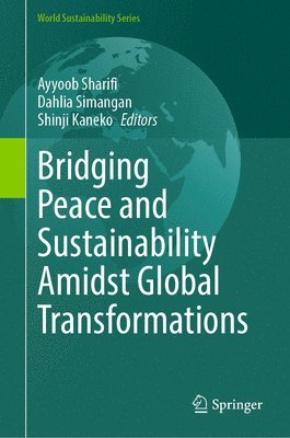 bokomslag Bridging Peace and Sustainability Amidst Global Transformations