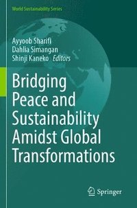 bokomslag Bridging Peace and Sustainability Amidst Global Transformations