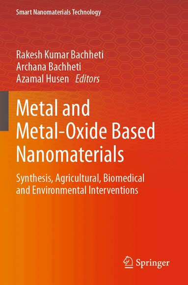 Rakesh Kumar Bachheti, Archana Bachheti, Azamal Husen - Metal and Metal-Oxide Based Nanomaterials, Häftad