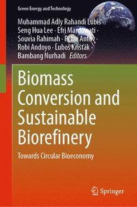bokomslag Biomass Conversion and Sustainable Biorefinery