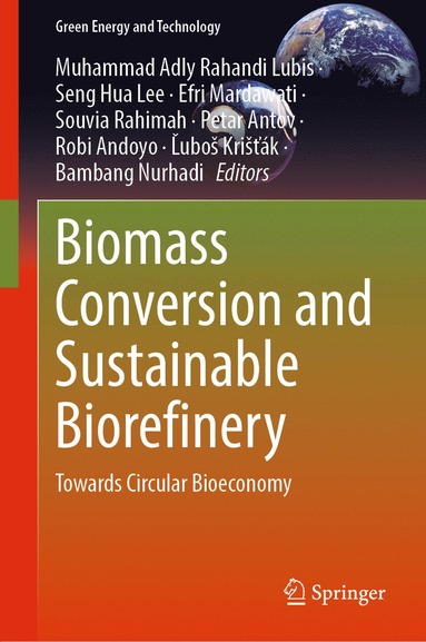 bokomslag Biomass Conversion and Sustainable Biorefinery