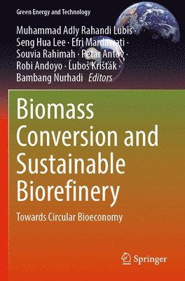 bokomslag Biomass Conversion and Sustainable Biorefinery