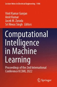 bokomslag Computational Intelligence in Machine Learning