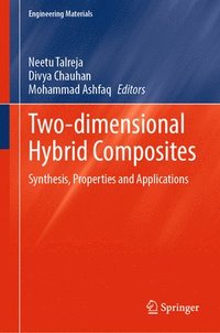 bokomslag Two-dimensional Hybrid Composites
