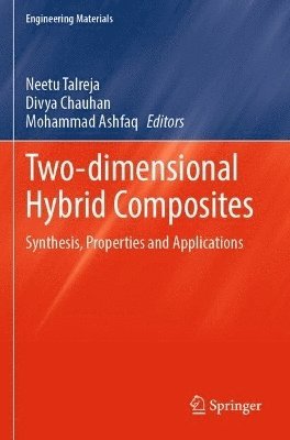 bokomslag Two-dimensional Hybrid Composites