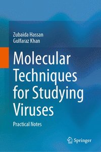 bokomslag Molecular Techniques for Studying Viruses