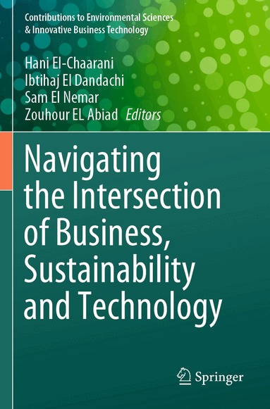 Hani El-Chaarani, Ibtihaj El Dandachi, Sam El Nemar, Zouhour EL Abiad - Navigating the Intersection of Business, Sustainability and Technology, Häftad