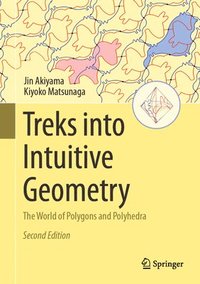 bokomslag Treks into Intuitive Geometry