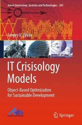 bokomslag IT Crisisology Models
