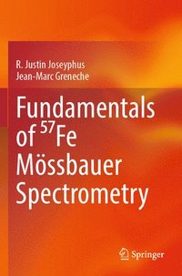 bokomslag Fundamentals of ??fe Mössbauer Spectrometry