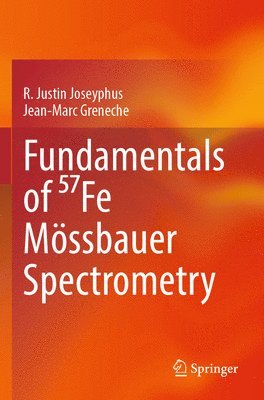 bokomslag Fundamentals of ??fe Mössbauer Spectrometry