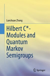 bokomslag Hilbert C*- Modules and Quantum Markov Semigroups