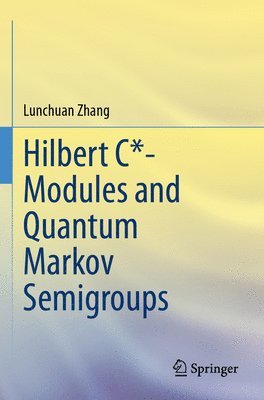 bokomslag Hilbert C*- Modules and Quantum Markov Semigroups