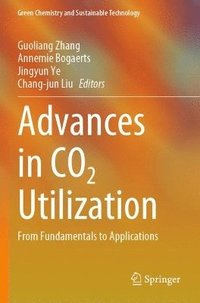bokomslag Advances in CO2 Utilization