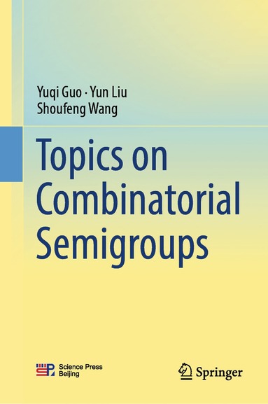 bokomslag Topics on Combinatorial Semigroups