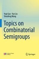 bokomslag Topics on Combinatorial Semigroups