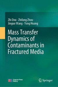 bokomslag Mass Transfer Dynamics of Contaminants in Fractured Media