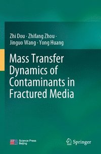 bokomslag Mass Transfer Dynamics of Contaminants in Fractured Media
