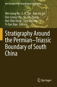 bokomslag Stratigraphy Around the PermianTriassic Boundary of South China