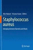 bokomslag Staphylococcus aureus
