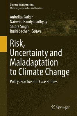 Risk, Uncertainty and Maladaptation to Climate Change 1