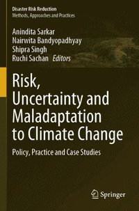 bokomslag Risk, Uncertainty and Maladaptation to Climate Change