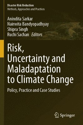 bokomslag Risk, Uncertainty and Maladaptation to Climate Change