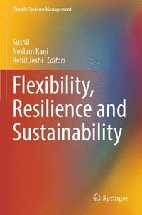 bokomslag Flexibility, Resilience and Sustainability