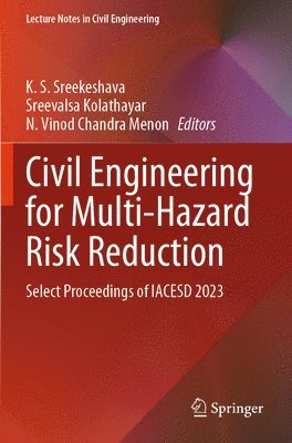 bokomslag Civil Engineering for Multi-Hazard Risk Reduction