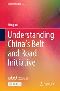 bokomslag Understanding Chinas Belt and Road Initiative